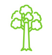 tree-shrub-applications