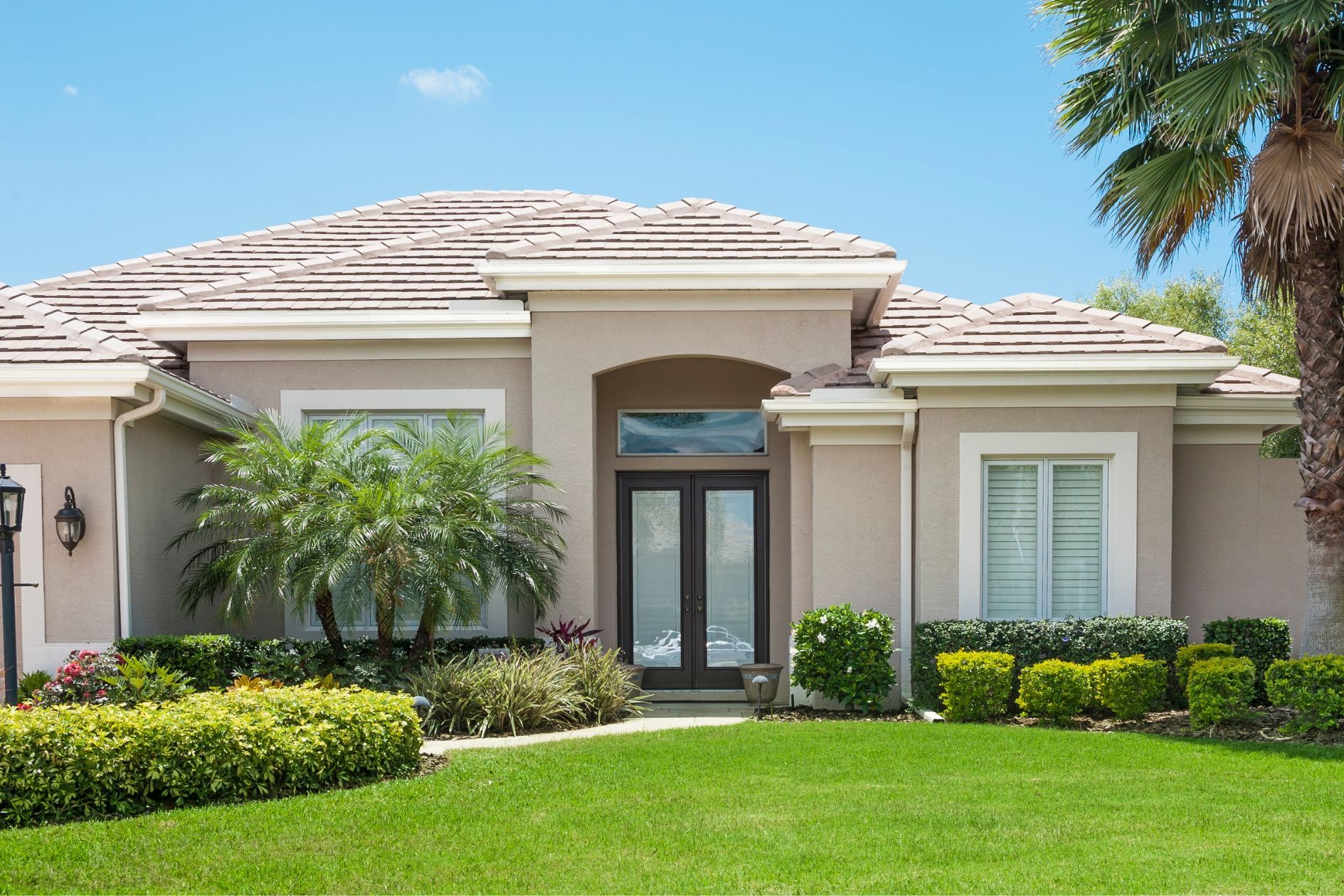 florida home with landscaping and palm trees, florida palm tree care