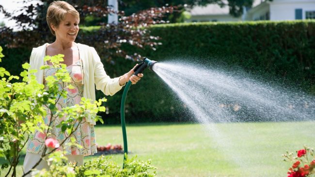 florida lawn care, green florida lawn, lawn watering