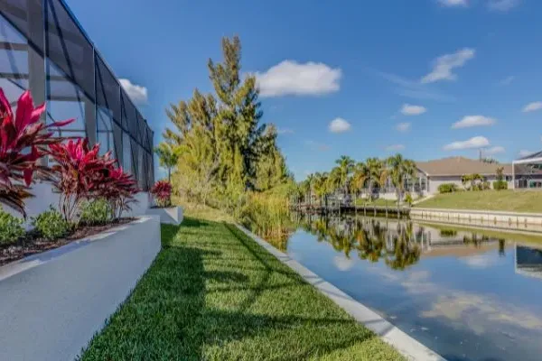 florida trees and shrubs in back yard