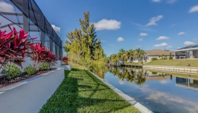 winter protection florida trees florida trees and shrubs in back yard