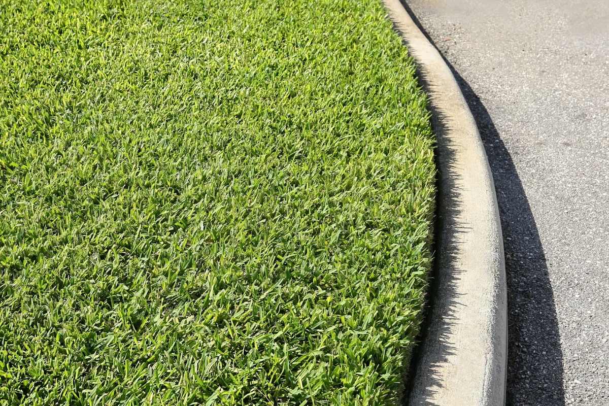 st augustine grass st augustine grass, melbourne fl lawn care